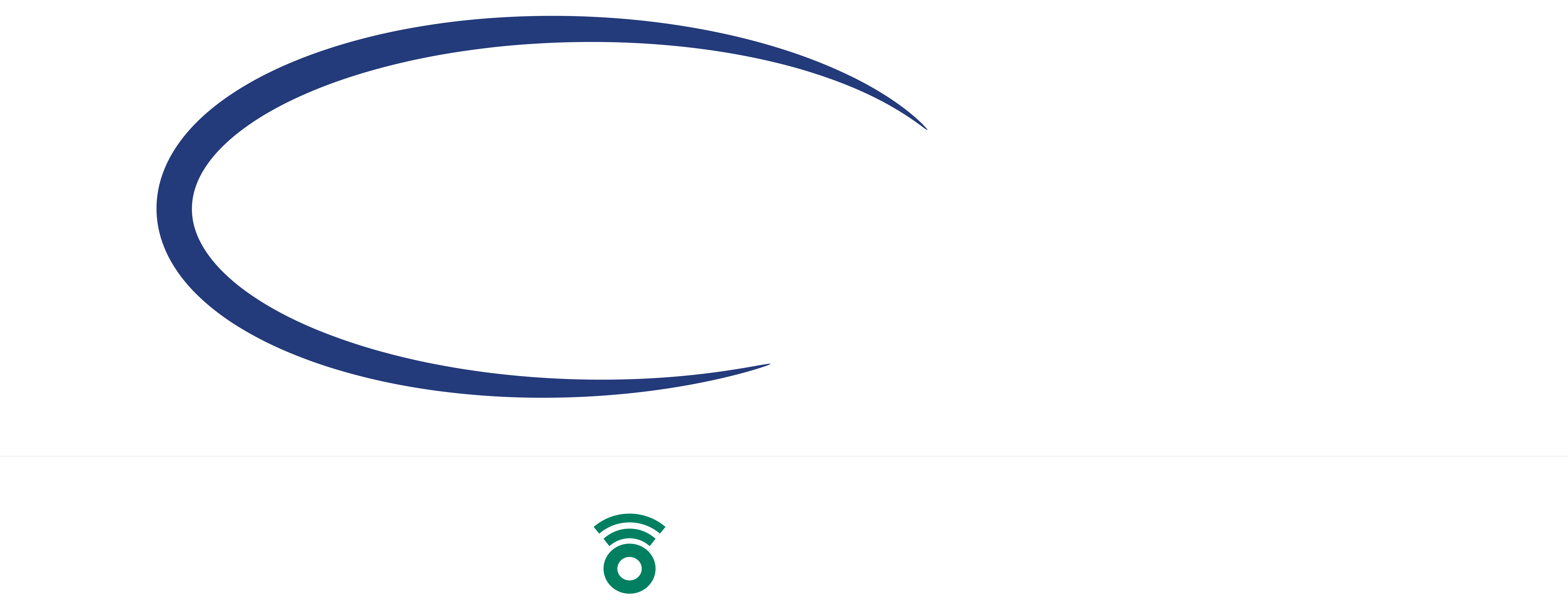Footer Logo